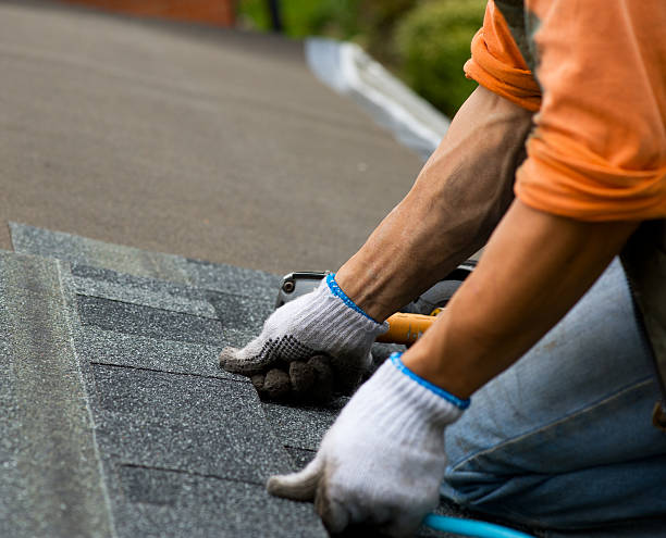 Best Roof Maintenance Services  in The Dalles, OR